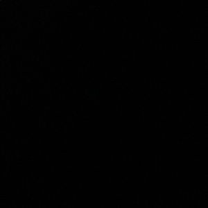 Meet your Posher, Bianca